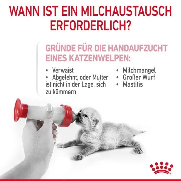 ROYAL CANIN Babycat Milk | 300 g | Milchaustausch-Alleinfuttermittel für Katzenwelpen | Von der Geburt bis zur Entwöhnung