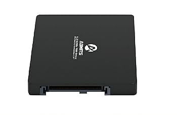 Amazon | ADWITS 2パック U.2 NVMe SSDドライブ、32Gbps M.2 Key