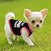 4 Pieces Ddog Shirt Girl Dog Clothes Summer Puppy Clothes for Chihuahua Yorkie Soft Cute Patter Pet Cat Clothing Pink Rose Red Green XS