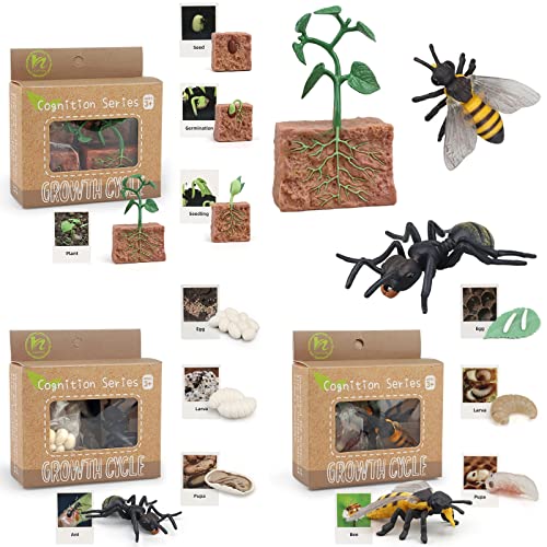 Montessori Life Cycle Animal Figures with Flash Cards, Realistic Animal Plant - Bild 60 von 71