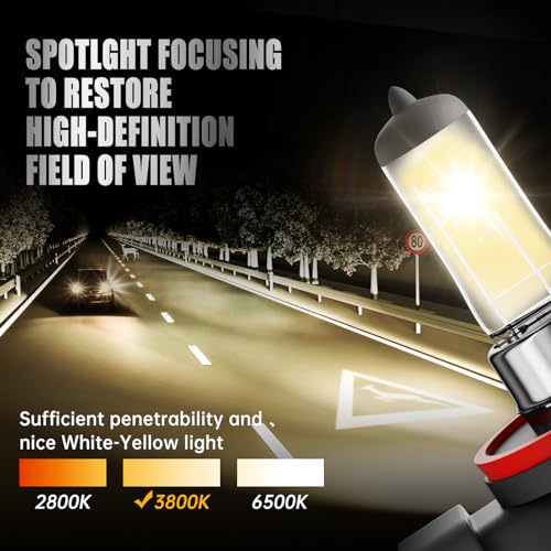 image for OKOENIEO H11 Headlight Bulbs, 12V 55W, 4000 Lumens, 3800K, Halogen Lig