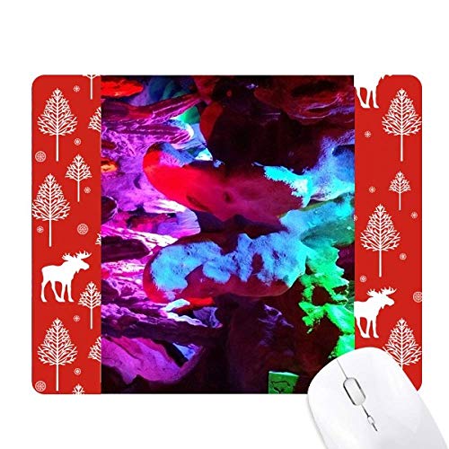 Karst grotte photographie couleur souris reveillez la magie des bois de Noel