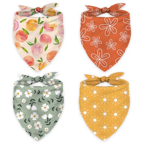 FYSUIMU {[z[ ybg o_i t[ s[` TVC hbO XJ[t \ ߉\ Op` ybg 悾ꂩ q lbJ`[t L  a RX`[ ANZT[