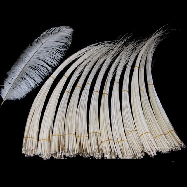 ALBERTAD 50Pcs/Lot 8 Colors Slected 35-40Cm Ostrich Feather Hard Rod Headwear&Hat Accessories Ostrich Quill Spines for DIY Millinery - (Color: White 50Pc)