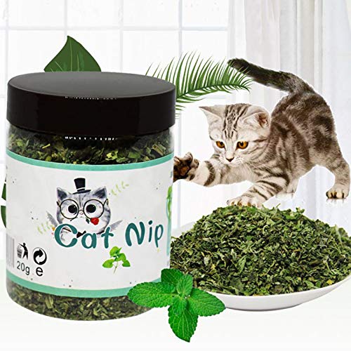 Sage Square Natural Organic Catnip Powder with Menthol Flavor to Relax and Train Your Cat, Kitten (20grm)