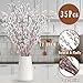 35 Pcs Real Dried PussyWillow Preserved Greenery Branches for Vase- Natural PussyWillow with White Flowers, Snow Willow Branches for Wedding Home Party Office Hotel Fireplace Yard Decor