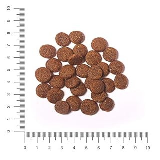 The Hunger of the Wolf Cibo secco per cuccioli e cani giovani di taglia grande e gigante, linea ad alto contenuto di pollame a base di pollo - 14 kg