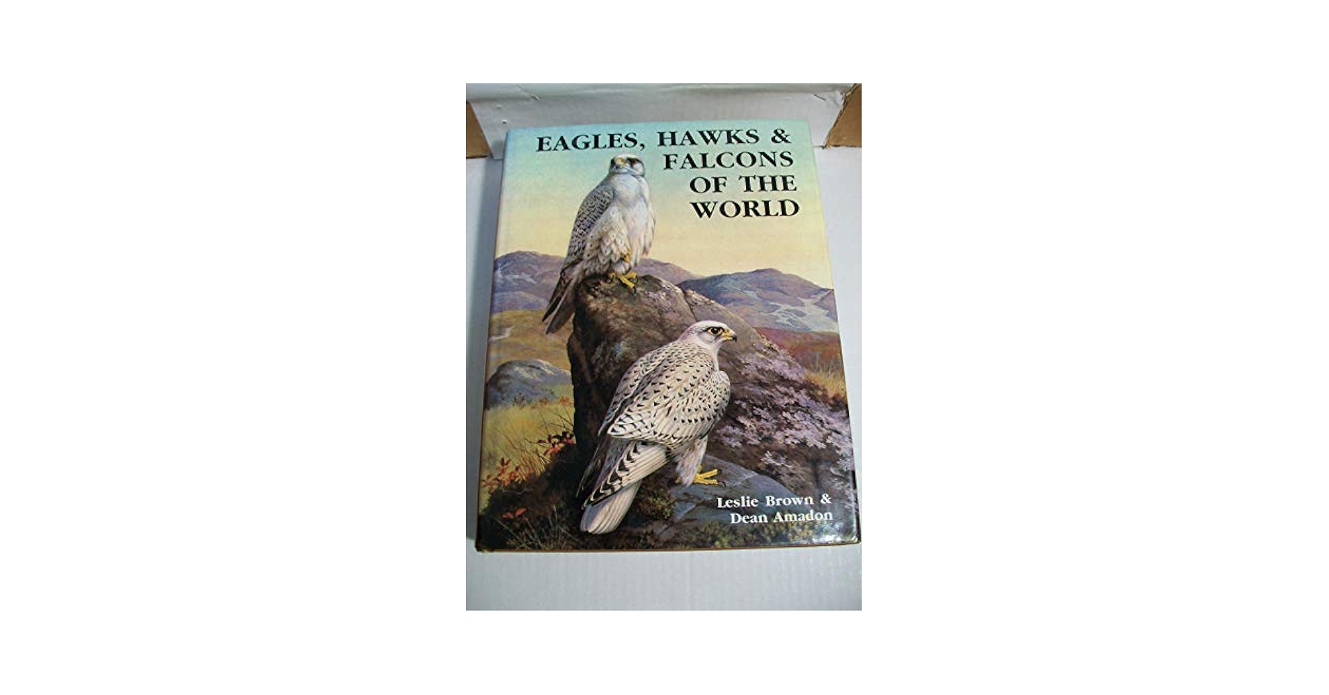 洋書 Eagles Hawks and Falcons of the World Eagles, Hawks and Falcons of the World: Brown, Leslie