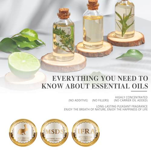 MAYJAM Pfefferminze Ätherisches Öl 10ML, Pfefferminzöl für Diffusor, Luftbefeuchter, DIY, Home,Wardrobes