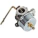 HIFROM Carburetor Carb with Gasket Replacement for Tecumseh 631918 HS40 4HP HS50 5HP Engine with Air Filter Replacement for 30727 30604