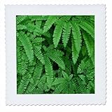 Square dimensions (in inches): 12 L x 12 W, image dimensions (in inches): 10 L x 10 W 100% poloyester; image is soft to touch. Made in USA Edges have pinking shear cut Image will not fade with washing. Image not a transfer, part of material