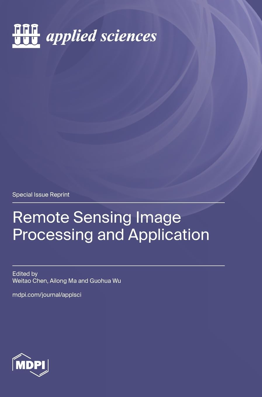 Remote Sensing Image Processing and Application
