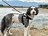 ShawnCo Essential Dog Harness, No-Pull Pet Vest with 3 Leash Clips, No Choke, Reflective, Adjustable and Padded, for Easy Walking and Training for Small, Medium and Large Dogs (Arctic Camo, XS) #5