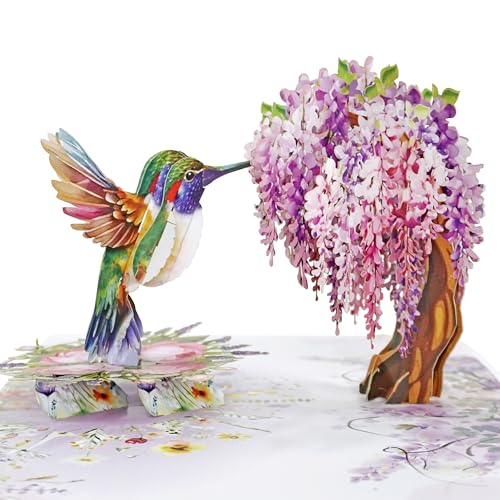 CUTPOPUP Humming Bird Wisteria Birthday Cards for Women, Mothers Day Cards Pop Up, 3D Flowers Gifts for Her Mum, Grandma Wife Daughter Her Girl Sister Anniversary (Hummingbird Wisteria) US8-AN162UK