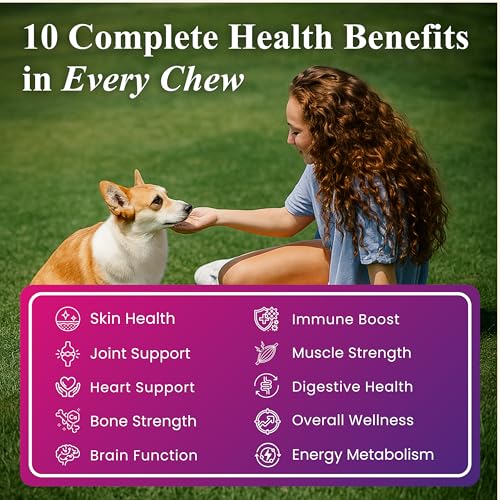 Image of Petroyale Daily One, All-in-One Supplement for Dogs - 25 in 1, Dog Multivitamin, Probiotics, Omega 369, Hip & Joint, Skin & Coat, Gut Health - Soft Chew Dog Everyday Supplement for Dogs (90 Chews)