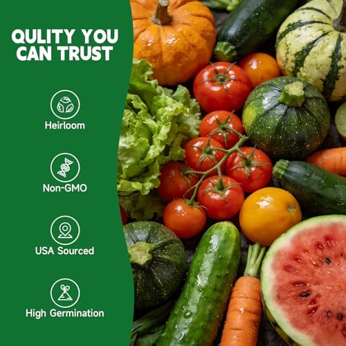 Groundio 40,000+ Heirloom Seeds Kit, 37 Vegetable Seeds Individual Pack - Non GMO for Planting Vegetables, Fruit and Herbs, Outdoor Garden Seeds for Indoor & Outdoor Garden Planting - Image 5