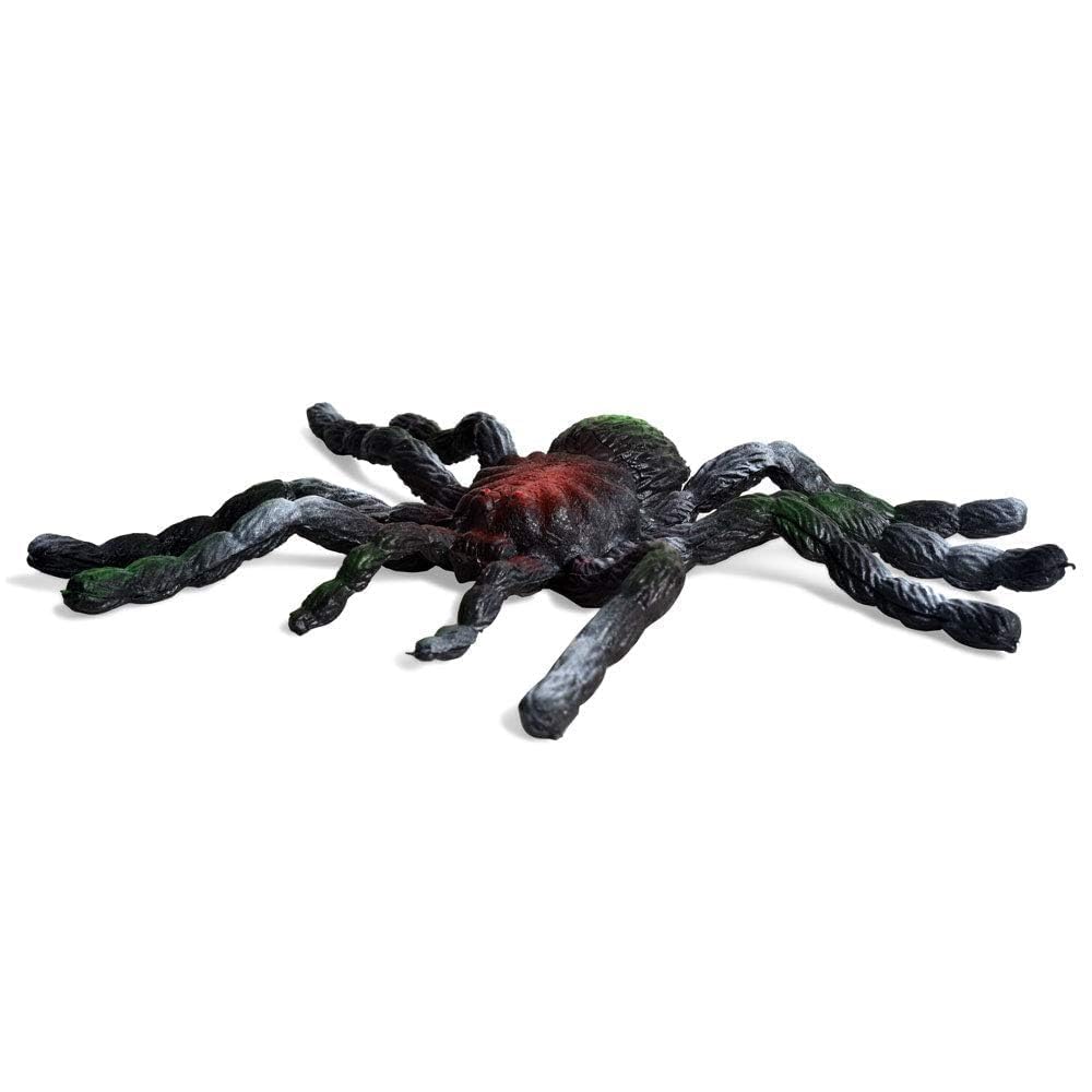 CWPFVQA 4 pezzi ragno realistico in plastica, modello di micry, spaventoso model