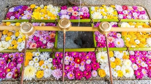 y{i|XgJ[hzRER蔪{_ (85)Ԏ萅 ԁXW photo by daikegorotHgJ[hyY