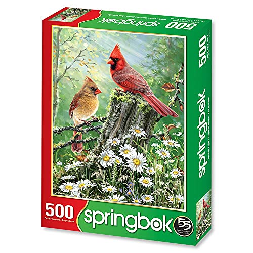 Springbok's 500 Piece Jigsaw Puzzle Golden Light - Made In Usa #TOP1