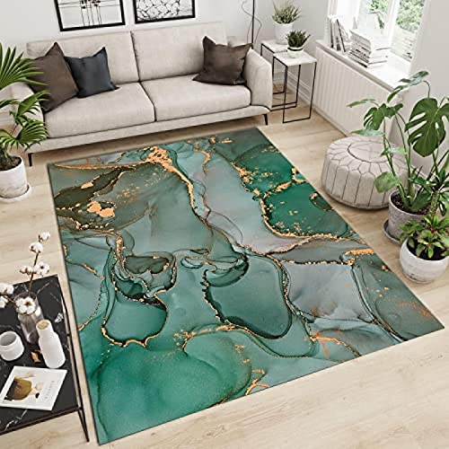 Tapis de salon fluide pour l'espace canapé et table à thé - 2