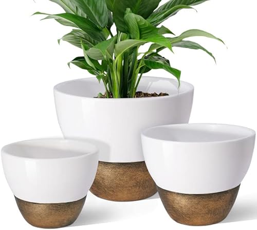 Joyonic White Ceramic Pots for Indoor Plants, 3 Set 4.6/6 / 7 Inch Christmas Plants Pot with Drainage Holes,Nursery Planter Pots for Indoor Plants Vintage Flower Pots for Aloe Vera, Succulents