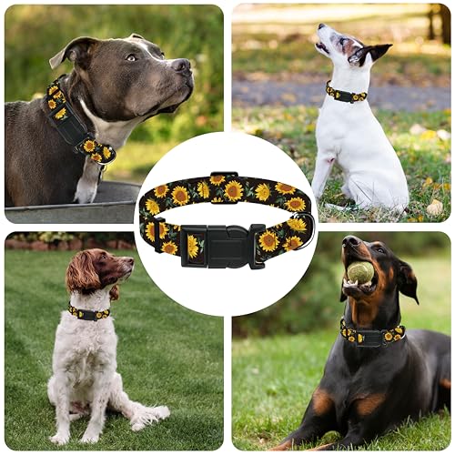 Seyezo Dog Collar For Boys Girls thumb #5