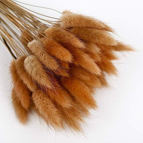 Lishiny 50 Pcs Dried Flower Grass Decoration Photography Props for Home Store Wedding (Brown)