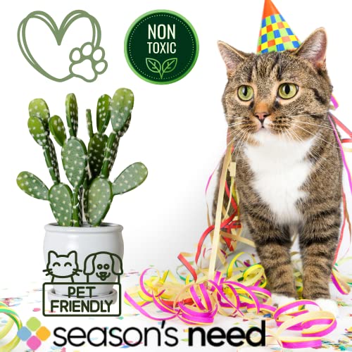 Season’s Need Artificial Prickly Pear Cactus - 4 Pack Premium Unpotted Cactus Plants - Realistic Cactus For Diy Floral Arrangement - Faux Bunny Ear Cactus Stem (11" Tall) #TOP4