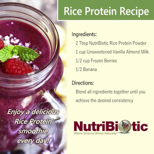Image of NutriBiotic Certified Organic Rice Protein Vanilla, 1 Lb. 5 Oz | Low Carbohydrate Vegan Protein Powder | Raw, Certified Kosher & Keto Friendly | Made Without Chemicals, GMOs & Gluten | Easy to Digest