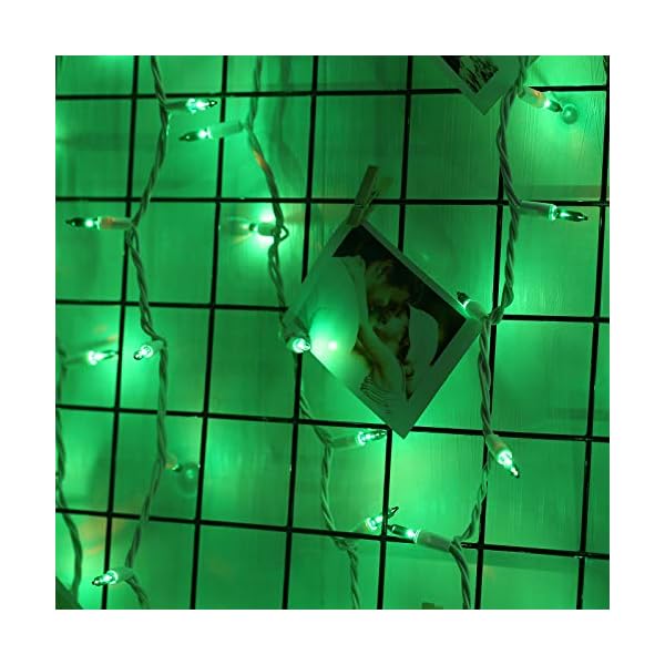 Brizled incandescent string lights - image 8