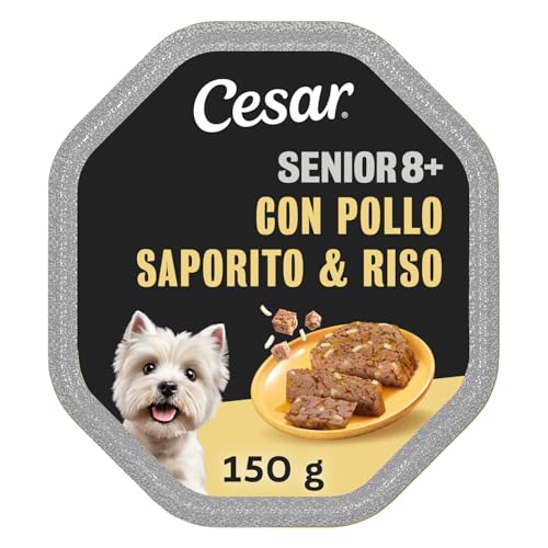 Cesar Senior 10+ Cibo per Cane con tenero Pollo e Riso, 150 g, 14 Vaschette