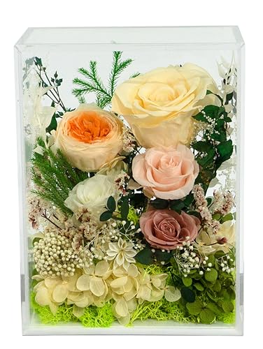 Valley of Rain & Forest Long-Lasting Real Flowers, Handcrafted Preserved Rose Bush For you to Send Love for All Occasions, Floral Arrangement for Indoor Decoration (Yellow Champagne Rose)