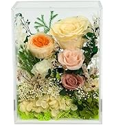 Valley of Rain &amp; Forest Long-Lasting Real Flowers, Handcrafted Preserved Rose Bush For you to Sen...