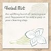 EcoMe Dish Soap Liquid, Herbal Mint, 16 oz