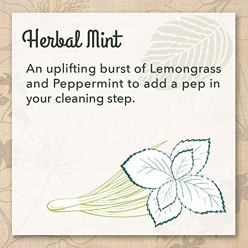 EcoMe All Purpose Glass and Window Cleaner, Ready to Use Household Cleaner, Herbal Mint, 32 oz - Image 5