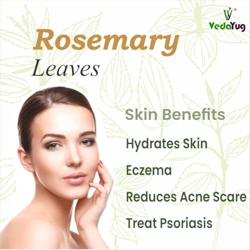 Image of VY VedaYug Rosemary Leaves for Hair Growth, Seasoning and Tea 200g | Dried Rosemary Leaf - 200g