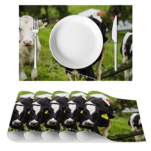 Sets de table forme de veau antidérapants pour protéger la table des brûlures