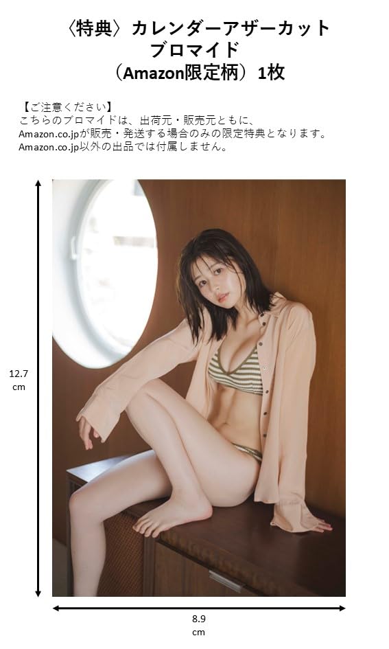 Amazon.co.jp: Hagoromo CL25-0197A Yuzaki 2025 Wall Calendar