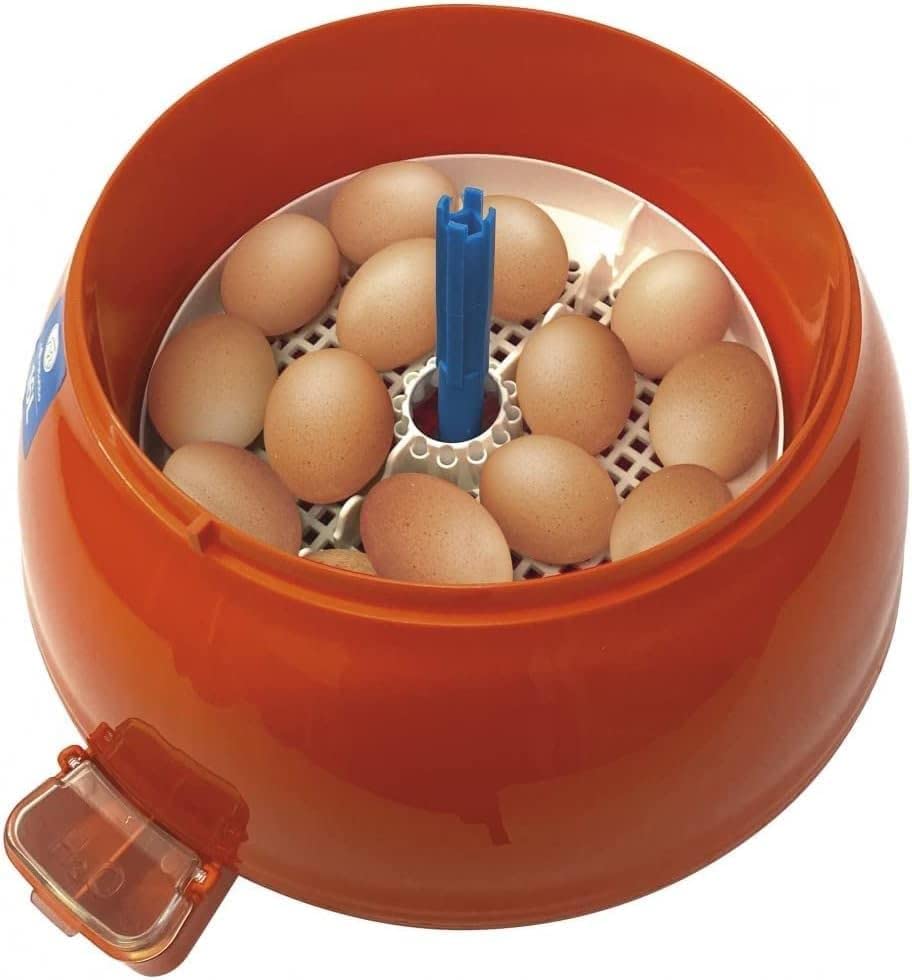 NOVITAL INCUBATOR COVATUTTO 12 EGGS OF HENS NOVITAL INCUBATOR COVATUTTO 12 EGGS OF HENS
