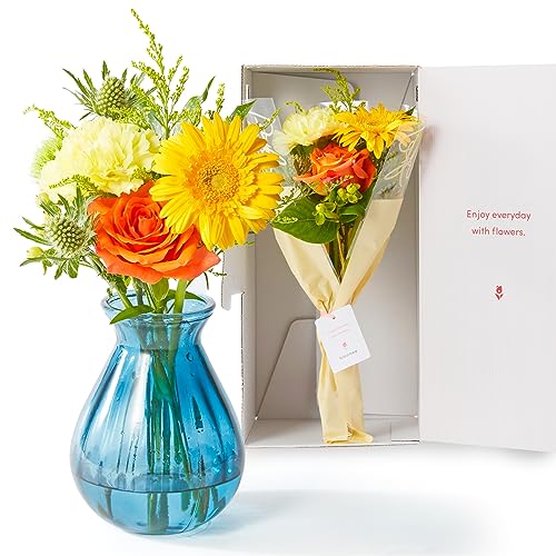 bloomee(u[~[) 8{  ԕrZbg (u[ ی`) (Gift for youJ[h t)  ~j ԑ (Mtg v[g j) ސEj j Ǝ JXj t[Mtg