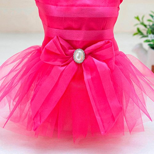 Wakeu Small Dog Girl Dress Pet Puppy Lace Tutu Stripe Vest Shirt Clothes (M, Hot Pink) #TOP3