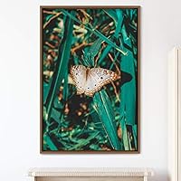 Framed Canvas Wall Art Butterfly Expressive Farmhouse/Country Home Office Insects Lake Multicolor Photography - 16x24 inches