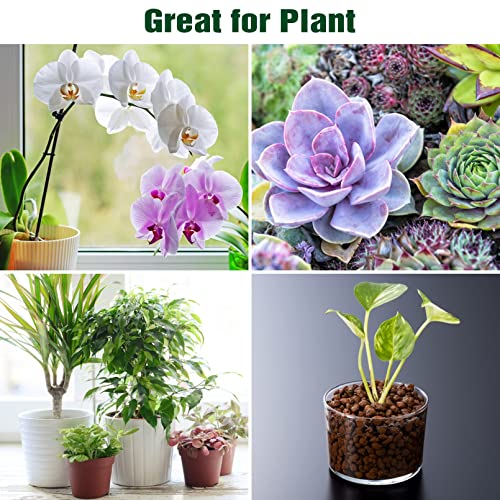 10Lbs Clay Pebbles Leca For Plants, Leca Balls Clay Balls Plant Garden Soil, Expanded Clay Pebbles For Hydroponic Aquaponics Growing, Orchid Potting Mix Soil #TOP6