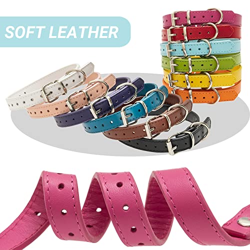 Flystar Puppy Collar - Identification Id Leather Small Dog Collars - 12 Pcs Adjustable Soft Colorful Cute Pet Basic Collars For Girl Boy Dogs Cats #TOP2