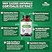 Zazzee Extra Strength Corydalis 15:1 Extract, 7500 mg Strength, 120 Vegan Capsules, Concentrated and Standardized 15X Extract, 100% Vegetarian, Premium Grade, Conolidine, All-Natural and Non-GMO
