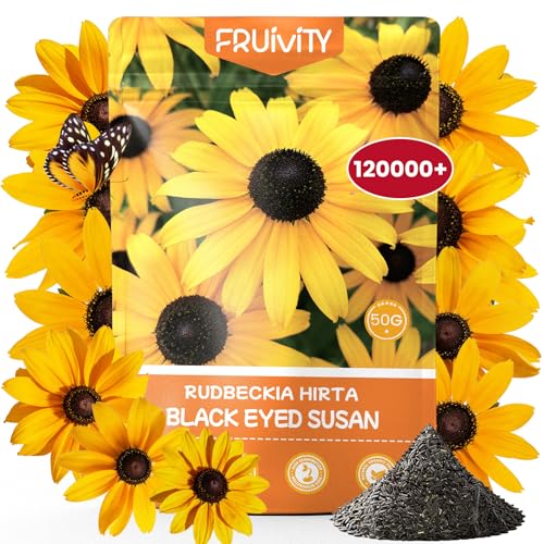 120 000+ Black Eyed Susan Seeds for Planting Perennial Wildflower Seeds for Pollinator Gardens Heirloom Flower Seeds to Plant Outside & Inside Borders Containers Rudbeckia hirta