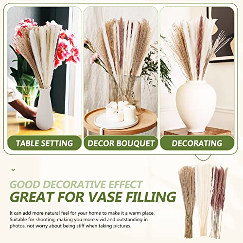 PRETYZOOM 120 Peças Flores de junco secas adereço DIY de junco seco cana preservada decoração planta