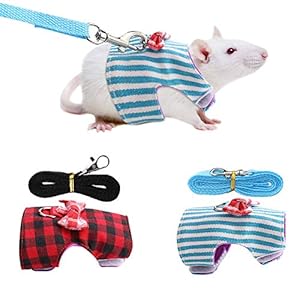GOTOTOP 2PCs Small Pet Harness with Bowknot and Bell Decor, No Pulling Comfort Padded Vest Guinea Pig Harness and Leash Set for Ferret, Rats, Iguana, Hamster