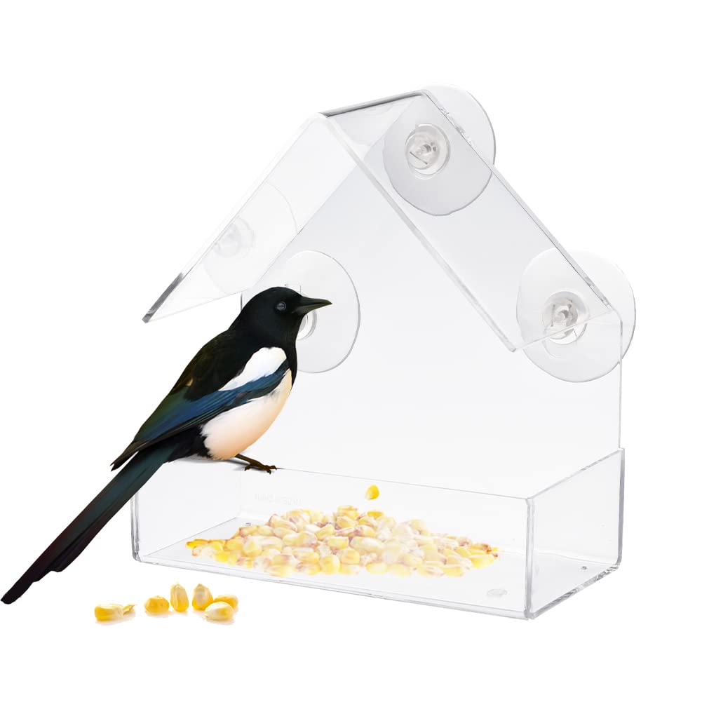 Amazon.co.jp: 窓の鳥の餌箱,サクション カップ バードフィーダー