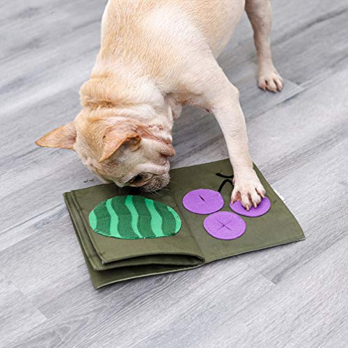 犬が手を舐める どんなサインがあるの 意味するものは ワンちゃんと夕焼けの中で散歩